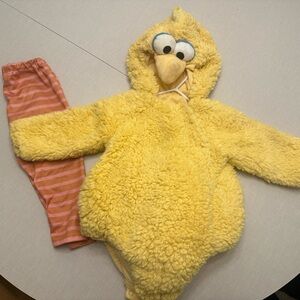 Big Bird Baby Costume Pottery Barn kids